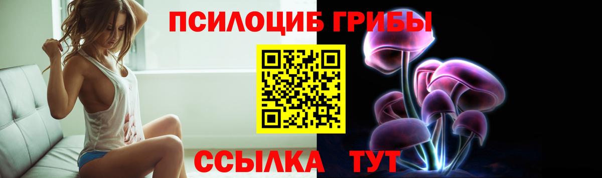 Новодвинск  Псилоцибиновые грибы мицелий  Вход с VPN 