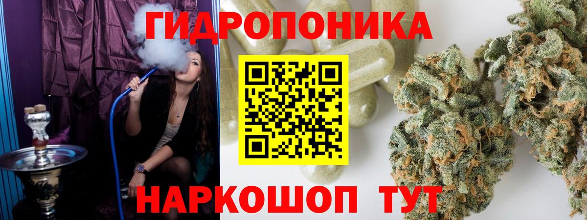 Бошки марихуана планчик Новодвинск